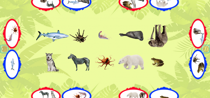 幼儿生物探索活动教案|动物分类